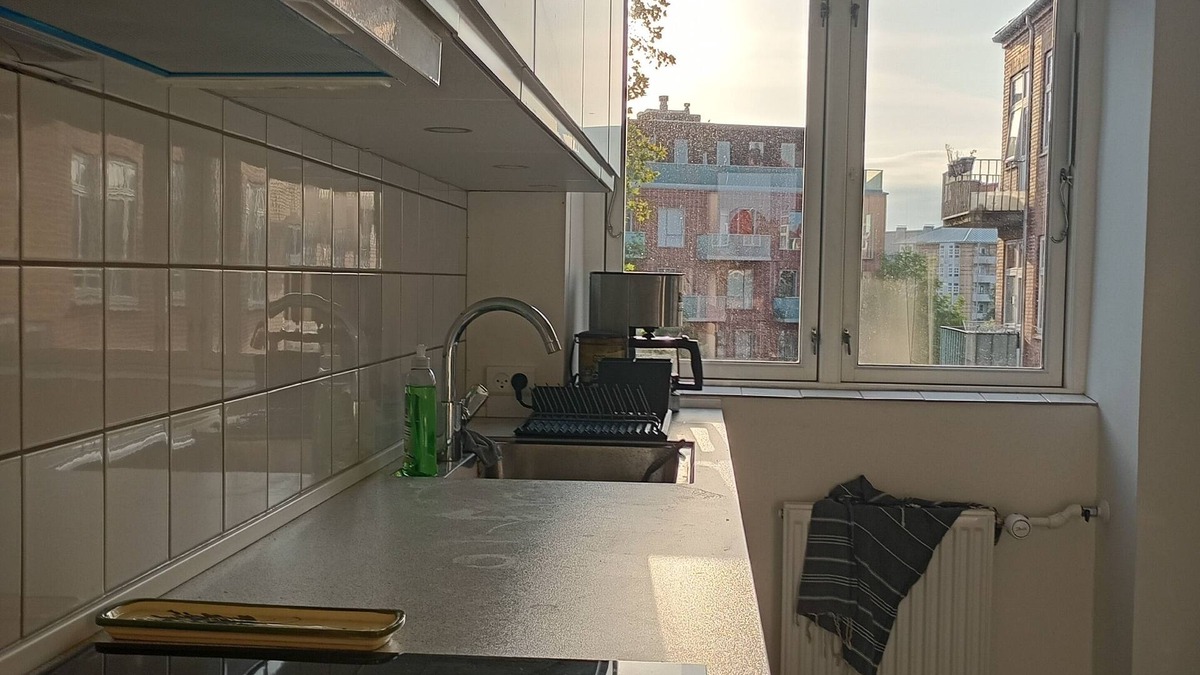 Frederiksberg Condo | Frederiksberg Parkview