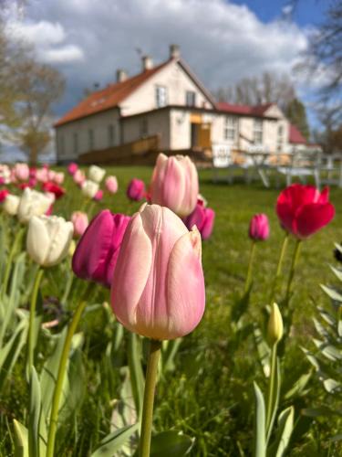 Helsingborg Municipality Bed & Breakfast | Fredriksborg
