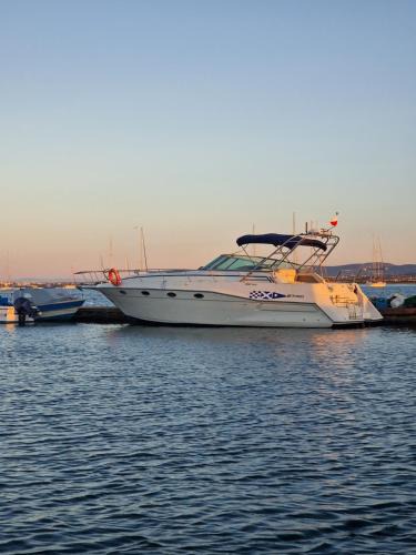 Faro Boat Rental | Freedom boat house