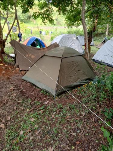 Hoima Other | Freeman Campsite & Nature Park