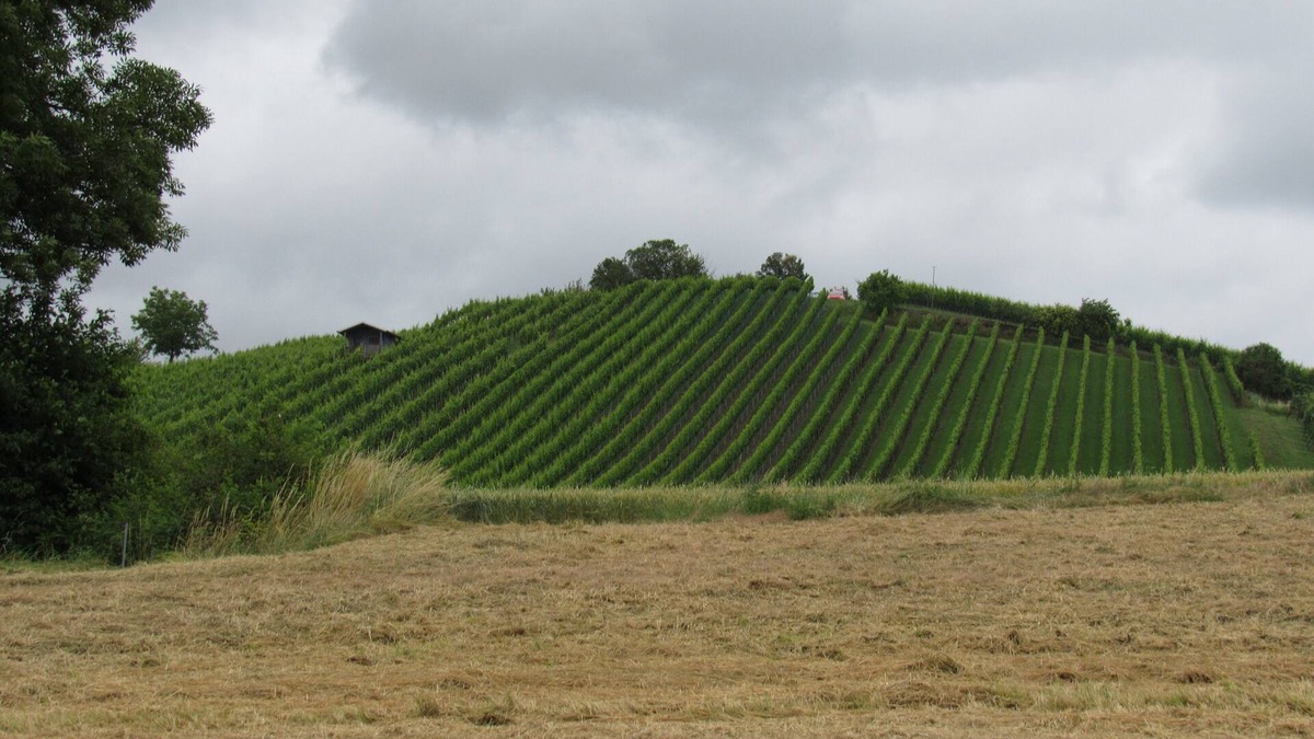 Oberschwappach House | Freistehendes Haus am Fuße des Weinbergs