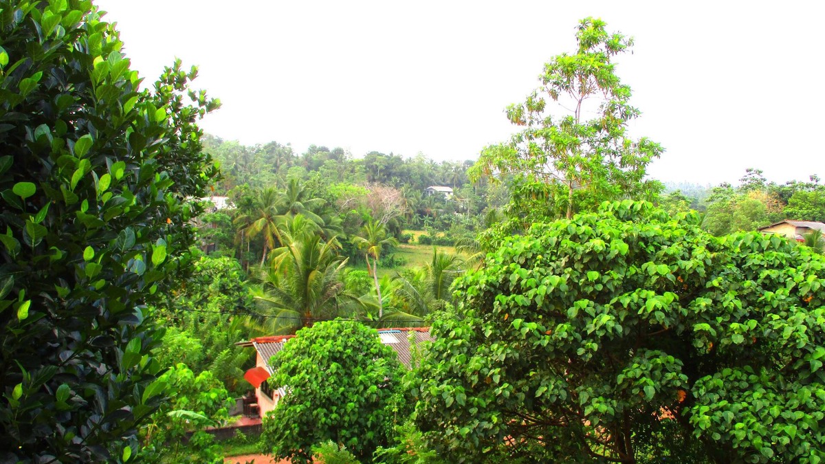 Kalutara House | Fresh Air Villa Guest House