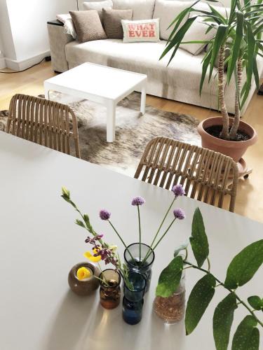 Blankenhain Apartment | Friedas Haus Ferienwohnung Nähe Golfplatz