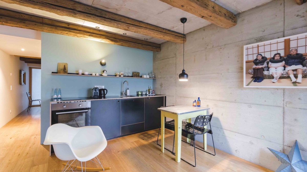 Gundelfingen Apartment | FRIZ 4, Modernes Apartment in historischer Scheune