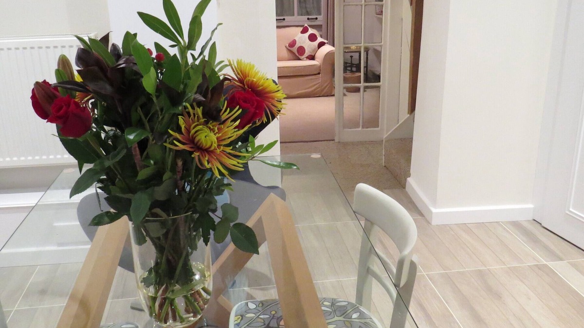 Topsham House | Frog Palace