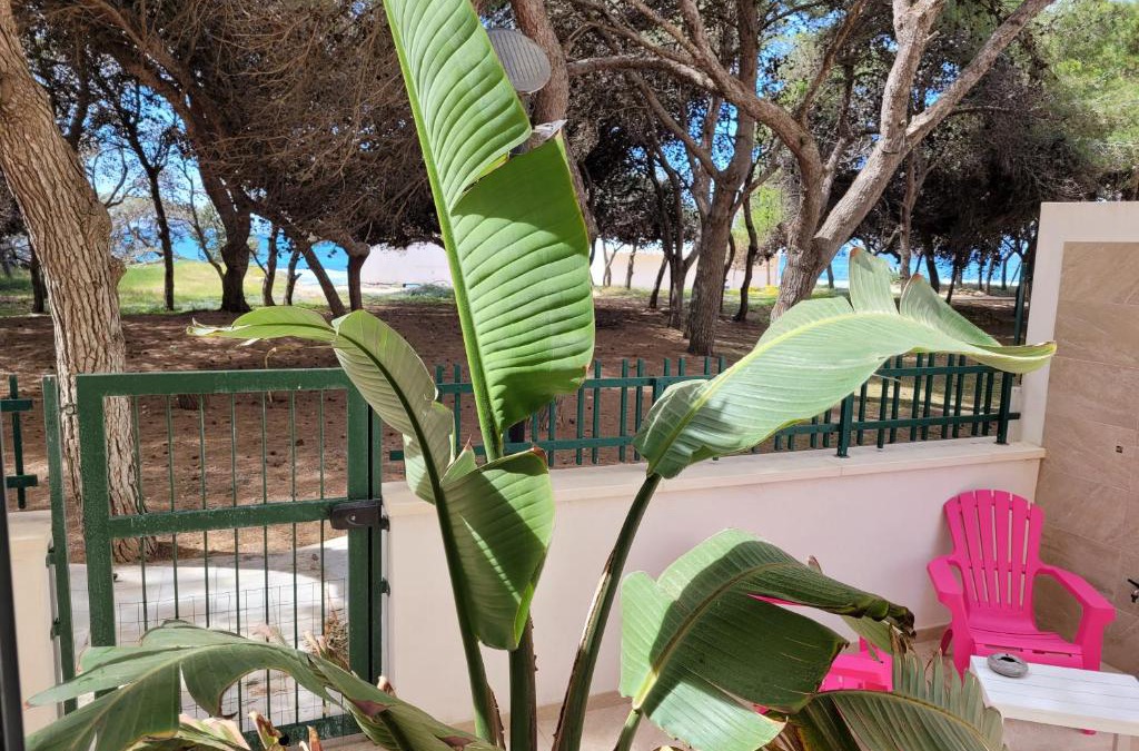 Rivabella Apartment | FRONTE PINETA MARE RIVABELLA