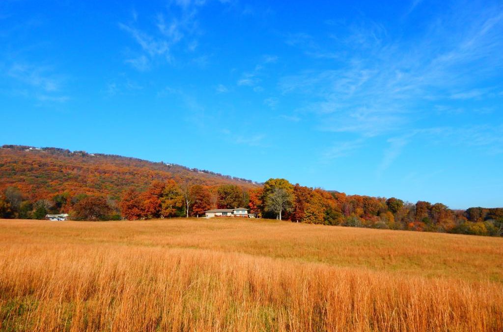 Lookout Valley Neighborhood Association House | Fryars' Green at Tennessee RiverPlace