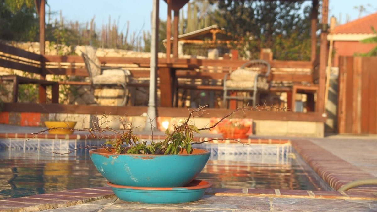 Santa Cruz Bed & Breakfast | Fuego Mio Bed & Breakfast