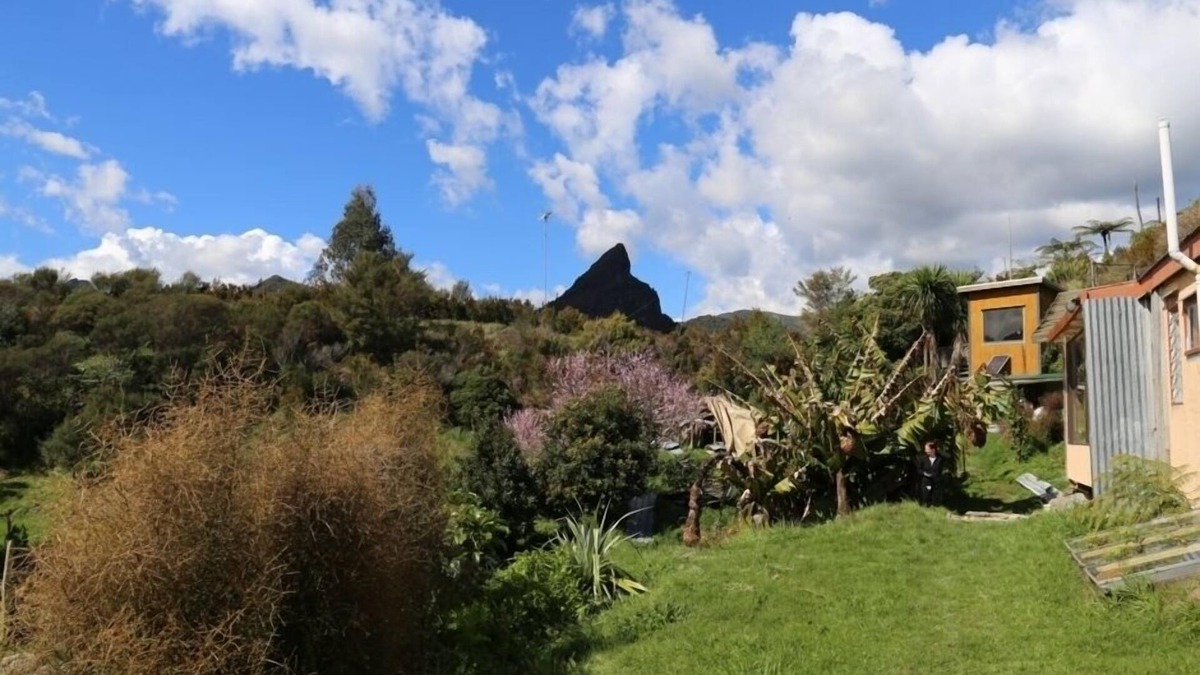 Komata Cottage | Full exclusive use Cottage, nestled in the bush clad Coromandel Ranges