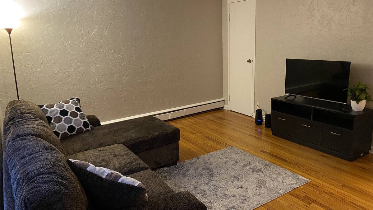 Rochester Apartment | Fully Furnished 2 beds 1 bad Apt Near to Hospital