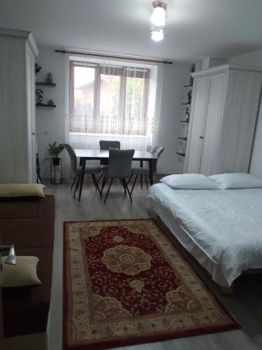 Sighetu Marmatiei House | Fully Furnished Studio