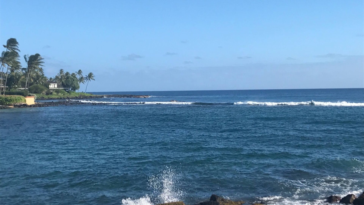 Poipu Condo | Fully Renovated Oceanfront with Air Cond. Ground Floor Unit with Spacious Lanai!