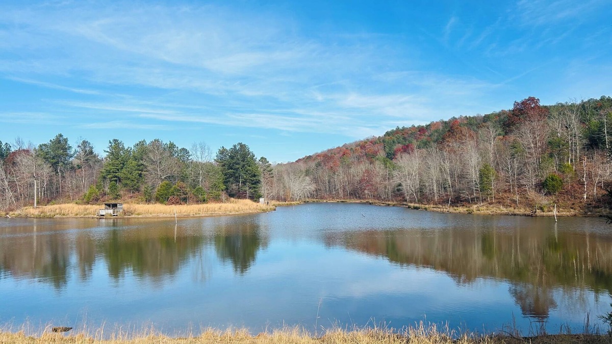 Valley Head Cabin | Fully restored cabin, 150 years old, nestled on Lookout Creek Farms