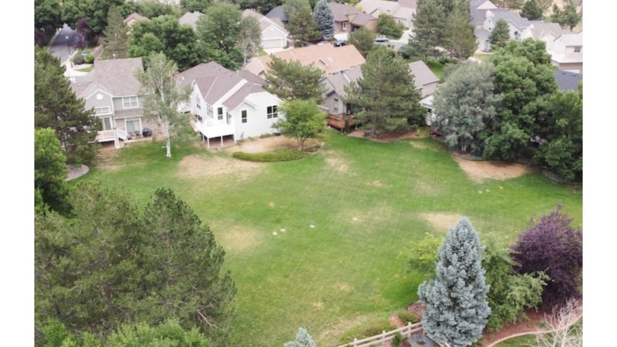 Broomfield House | Fun & Fabulous! Remodeled, Great for Families!