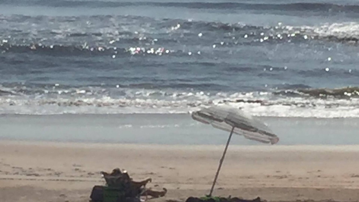 Flagler Beach House | Fun in Flagler Beach(discounts for longer stays)