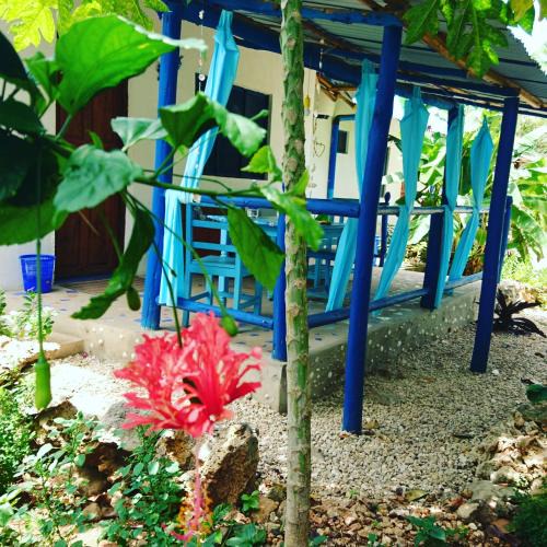 Kendwa Bed & Breakfast | Furaha B&B Kendwa