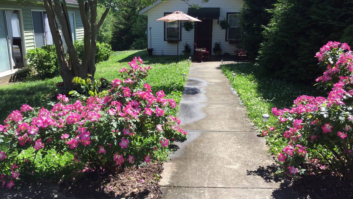 Lynn Cottage | Furnished,1bed 1bath cozy cottage full kitchen and laundry Monthly rentals avail