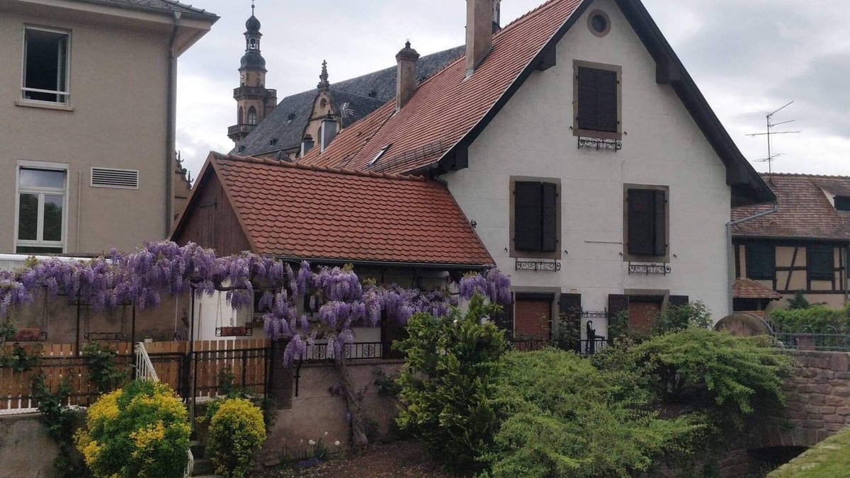 Molsheim House | Furnished accommodation "La Schliff"