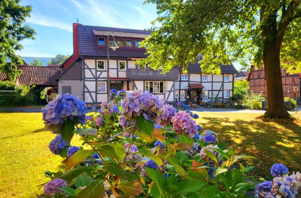 Hemeln Apartment | Gästehaus am Weser-Radweg