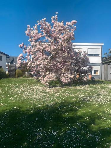 Radolfzell am Bodensee House | Gästehaus am See