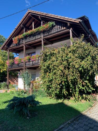 Rheinhausen Apartment | Gästehaus zum Rhein