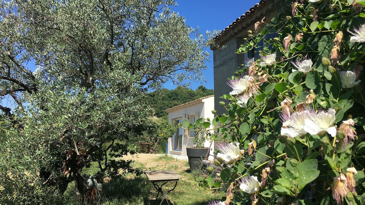 Mollans-sur-Ouveze House | Gîte 10 minutes from Vaison la Romaine