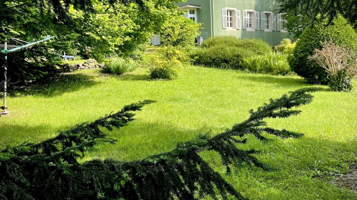 Husseren-Wesserling Cottage | Gîte A l'Ombre des tilleuls