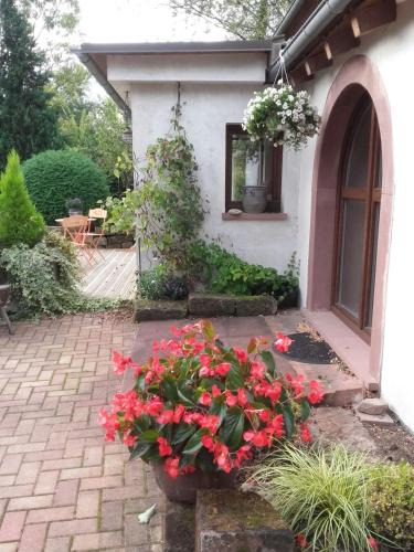 Langensoultzbach Apartment | gîte au jardin romantique pour 2 personnes