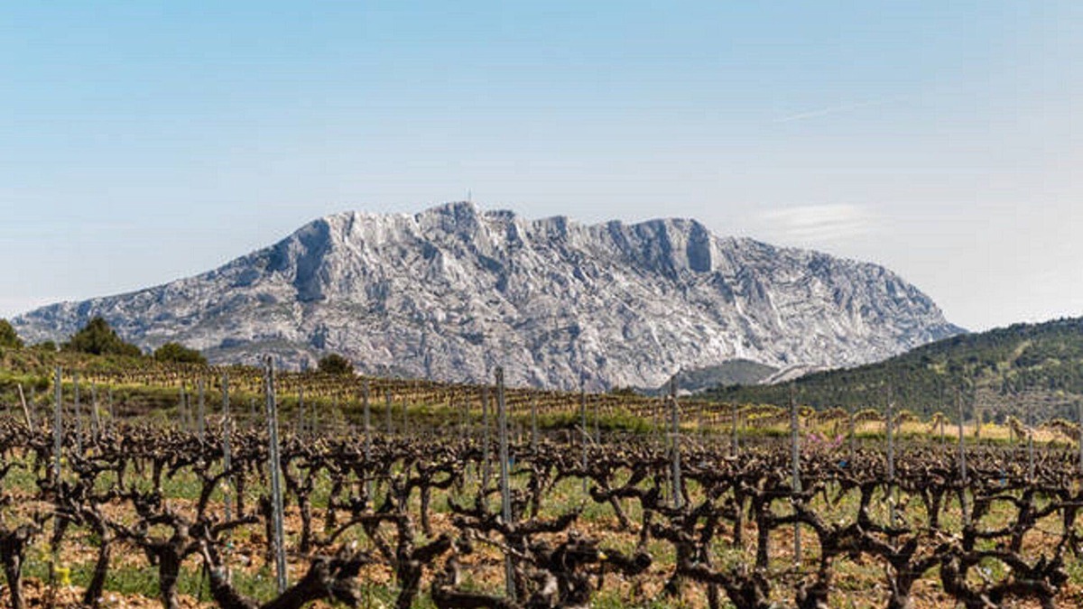 Le Tholonet Apartment | Gîte au milieu des Vignes - Syrah