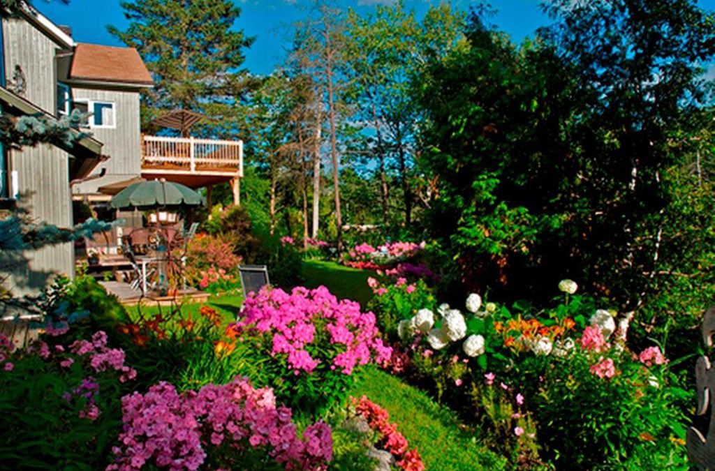 Mont-Laurier Hotel | Gîte au Pied du Courant de Gilbert Desjardins