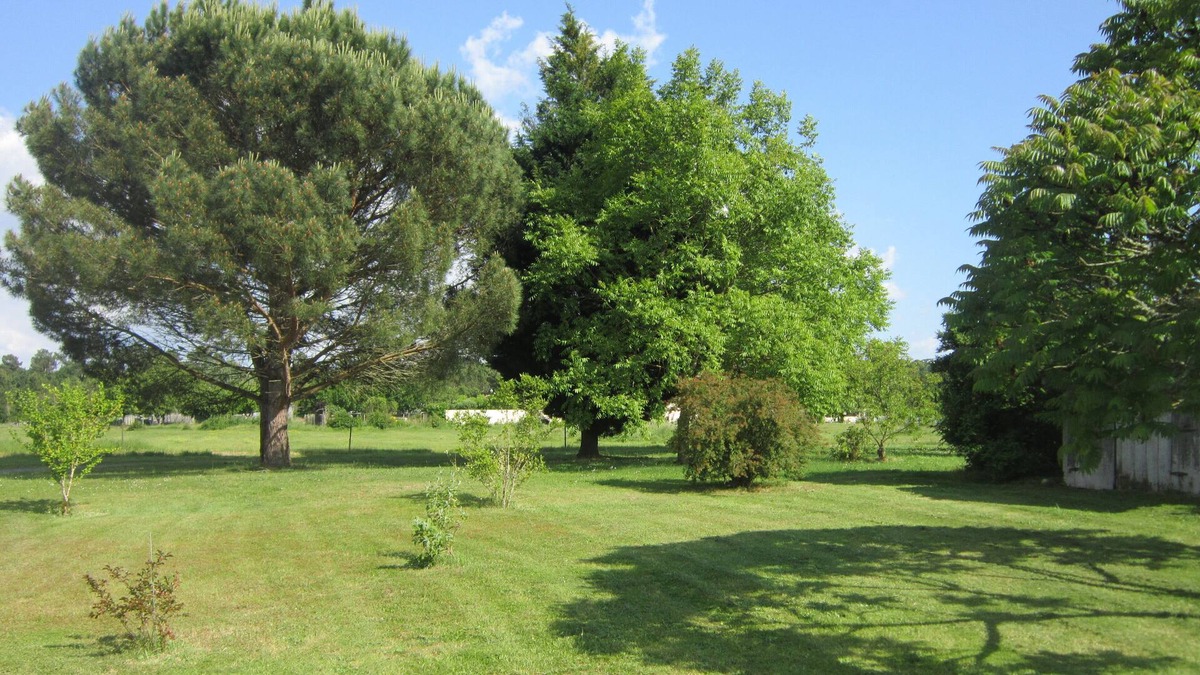 Lagorce House | Gîte de Campagne le Relais de Dizet