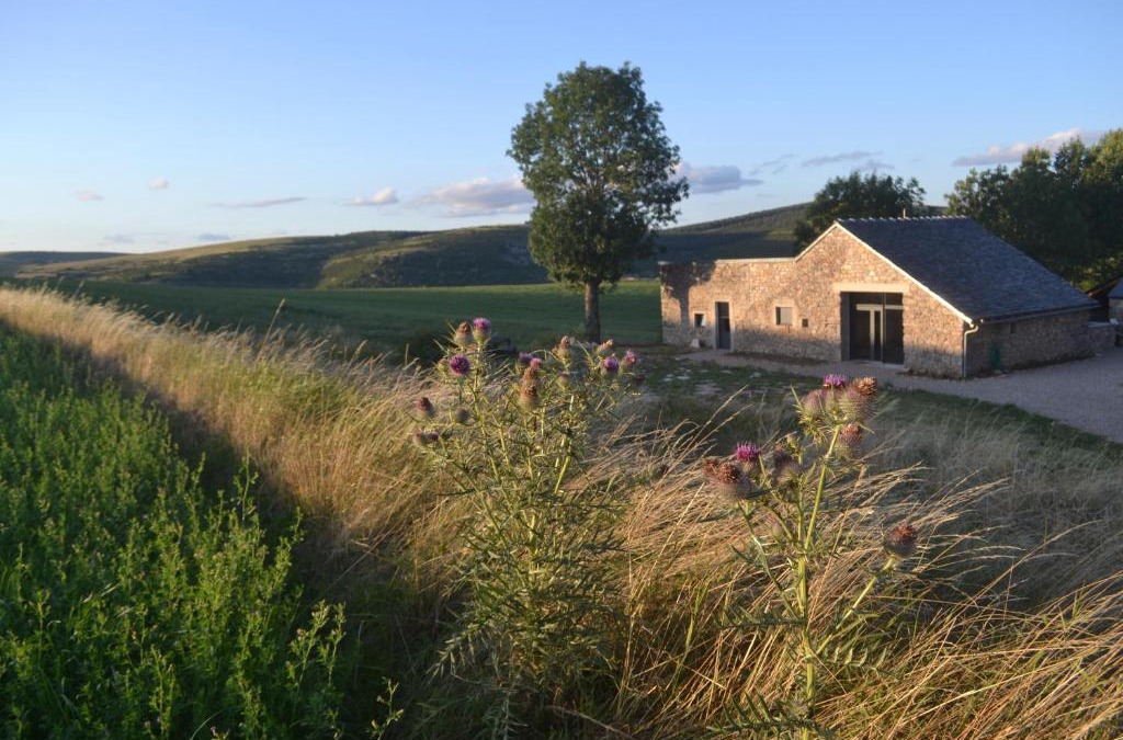 Meyrueis House | Gîte de Dargilan