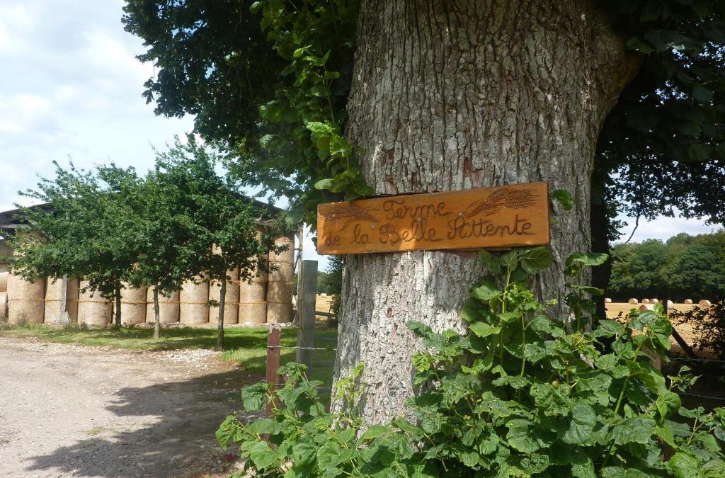 Aubeguimont House | Gîte de la belle attente