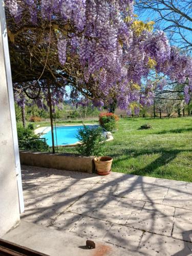 Marmande House | Gîte de la glycine