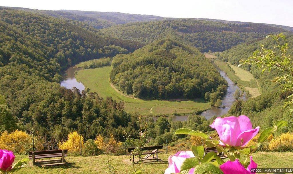 Botassart Apartment | Gîte de la Lavandière à Ucimont