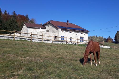 Lamoura House | Gîte des 3 Marches