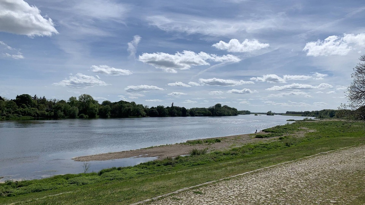 Saint-Benoit-sur-Loire House | Gîte des Bords de Loire - 50m de la Loire à Vélo - Meuble de Tourisme 4 Étoiles