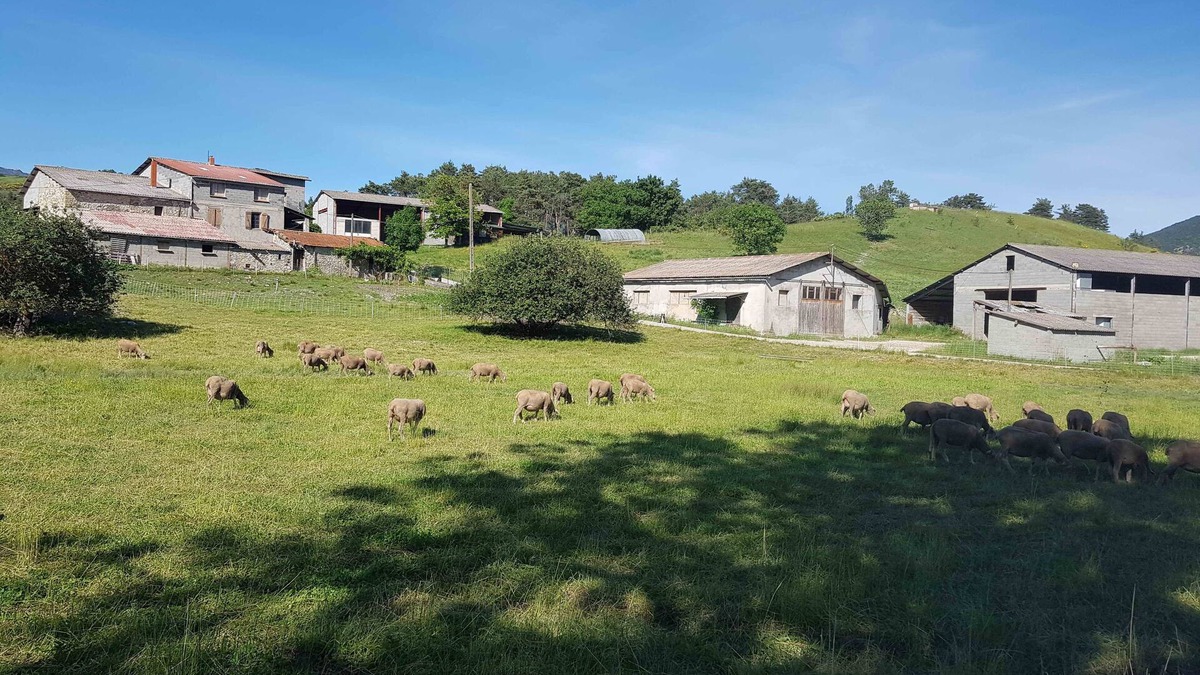 Rosans Other | Gîte des Millets en Baronnies - Rosans 05