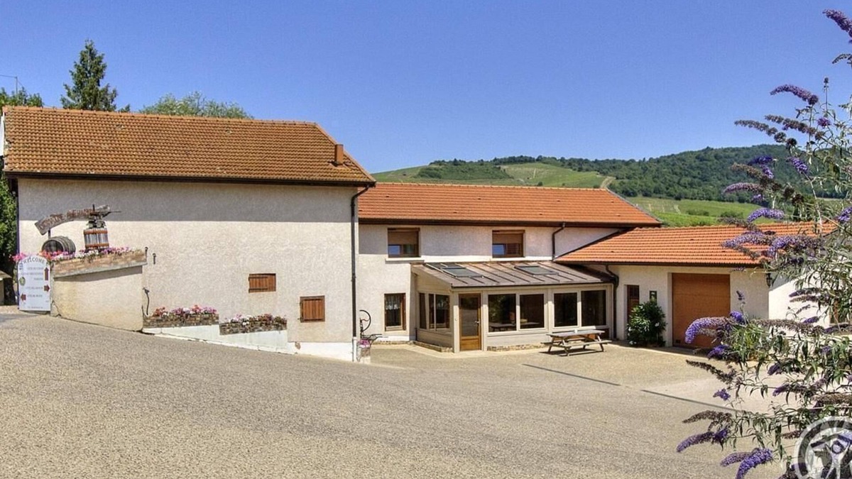 Fleurie House | Gîte du Chais - FLEURIE