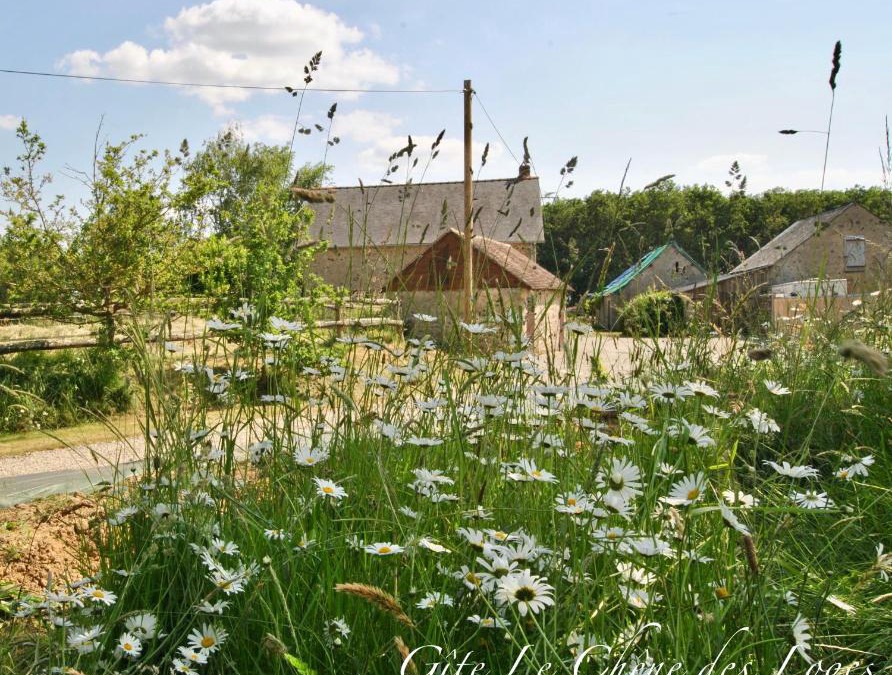 Bouere House | Gîte familial pour 6 pers en campagne