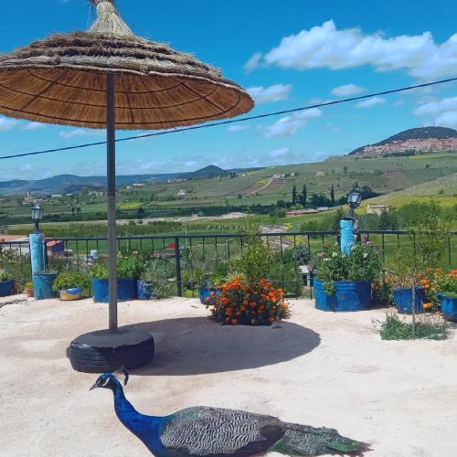 Zaouia Ben Smine Hotel | Gîte Forest Tagroumet traditionel