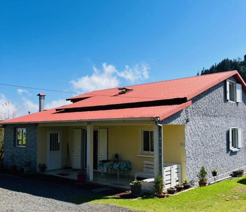 La Plaine des Cafres House | Gîte Hydrangea 974