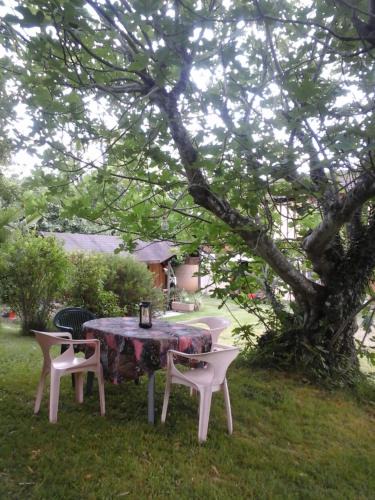 Betplan House | Gîte l'appel de la Forêt