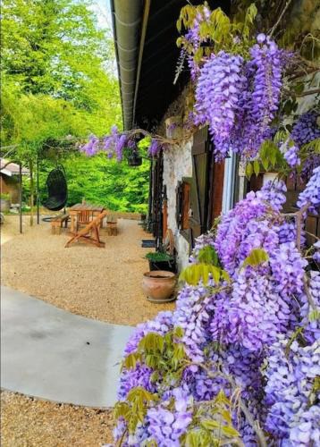 Meyrieux-Trouet House | Gîte La Bergerie et sa piscine chauffée