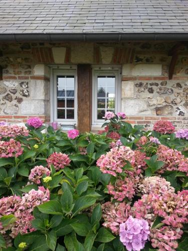 Barneville-sur-Seine House | gîte la chartrie