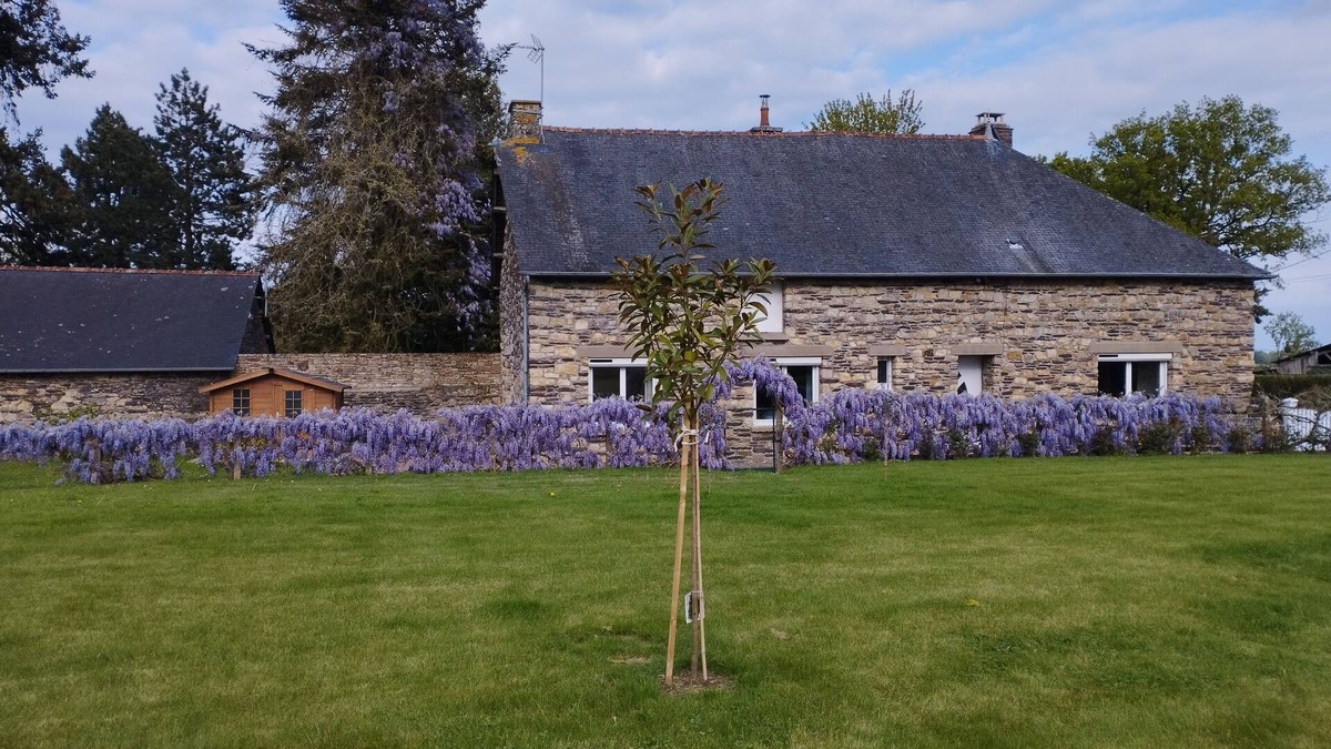 Plelan-le-Grand House | Gîte "La Maison de Rosalie" au Coeur de Brocéliande