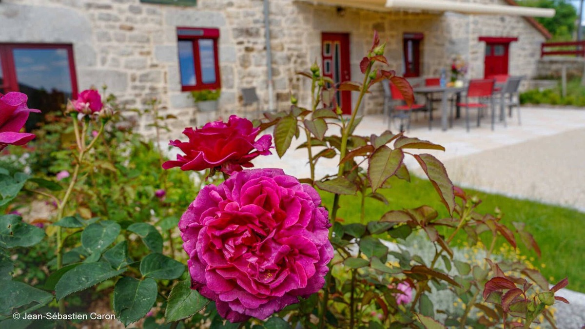 Julianges House | Gîte La Margeride 4 Personnes