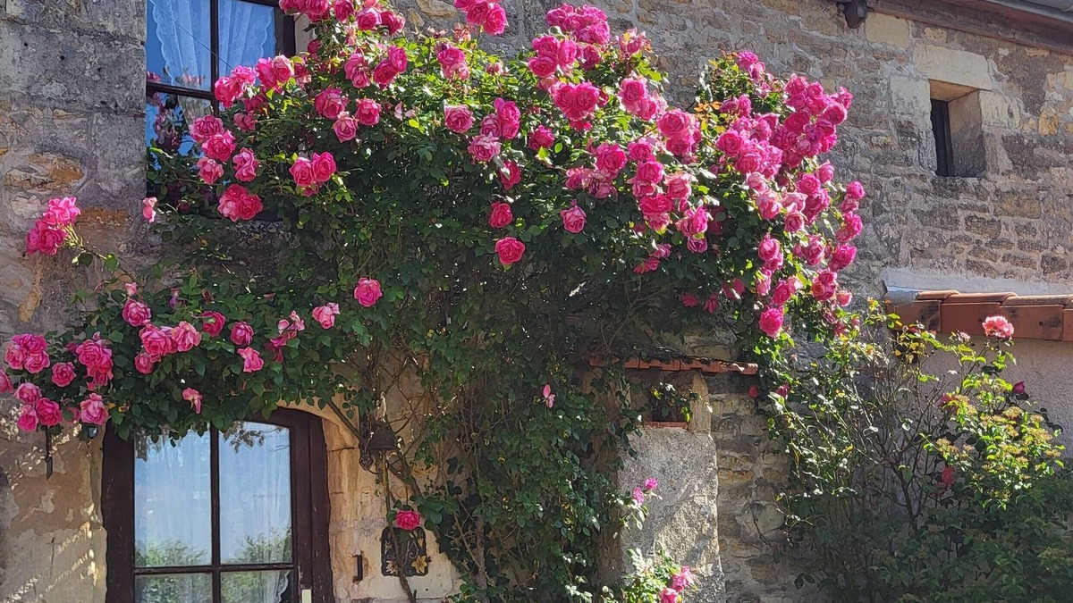 Doue-en-Anjou House | Gîte les Roses sleeps 2/4