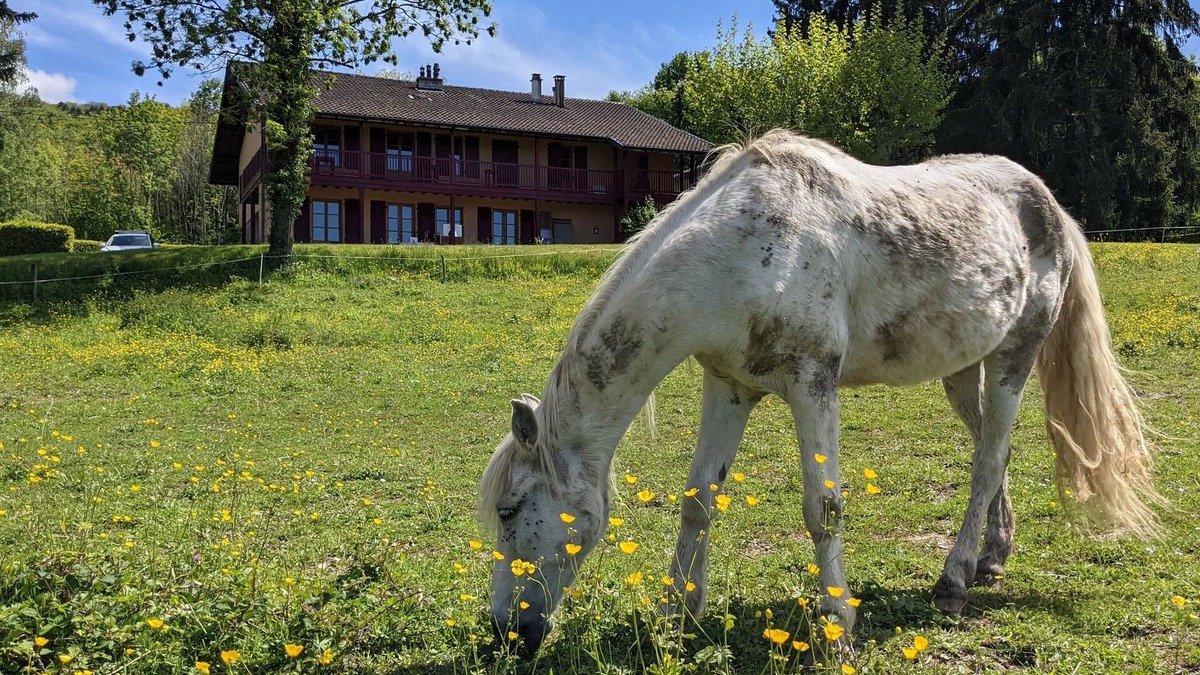 Neuvecelle House | Gîte Les Vernes (11-13 pers.)