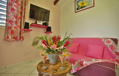 Saint-Francois House | Gîte Orchidée piscine commune